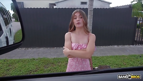 Sav succesic erot andie's fat cock